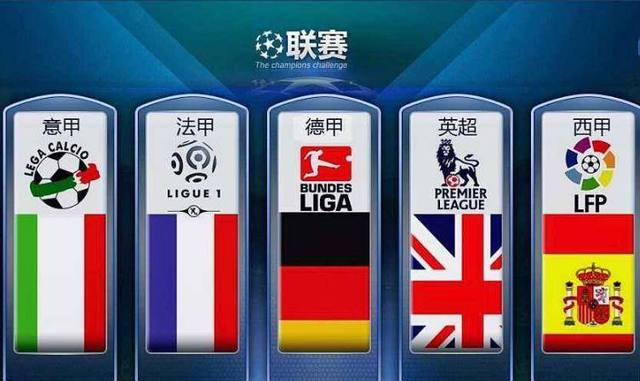 对国际性赛